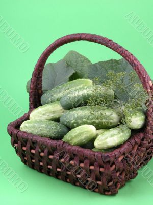 cucumbers