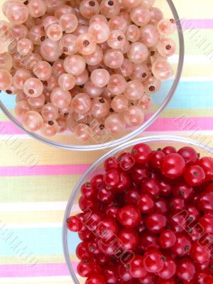 currants