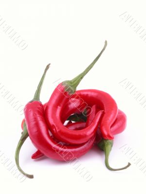 hot and spicy