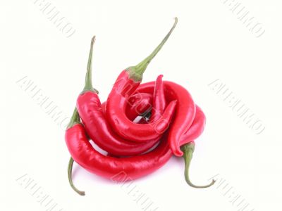 hot and spicy