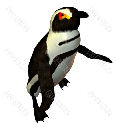 Penguin dancer