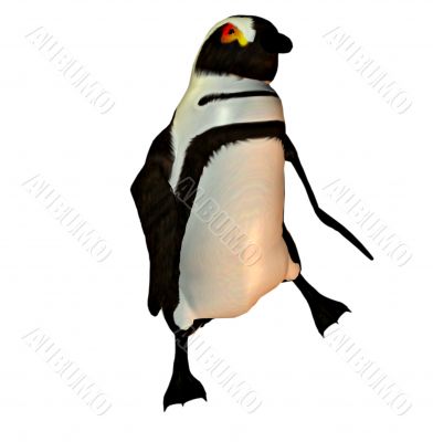 Penguin dancer