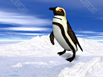 Penguin standing on snow