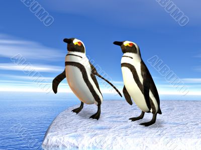 Penguins on an iceflow