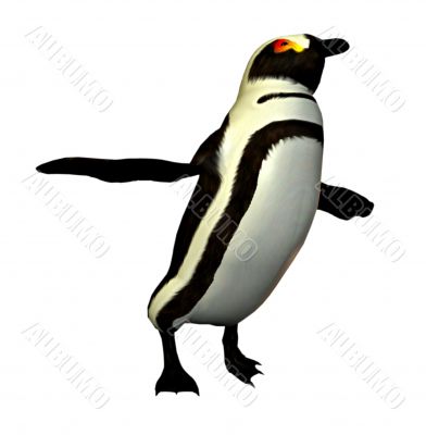 Dancing penguin