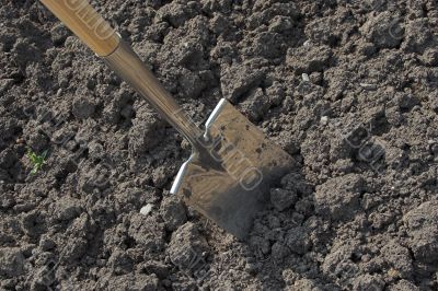Digging