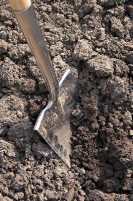 Digging