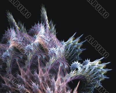 Softly Coral