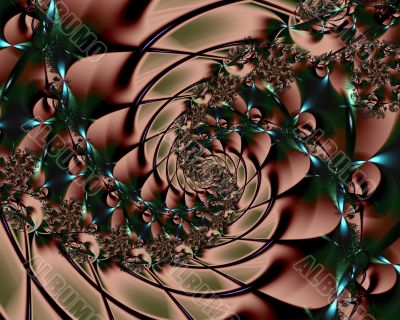 Rooted spiral