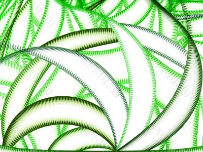 Botanica