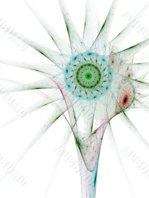 Fractal Blossom