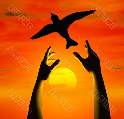 Free bird