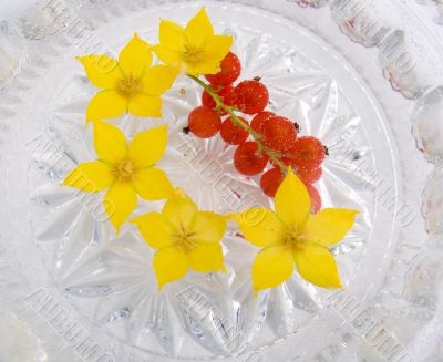 Flowers and berries  in water