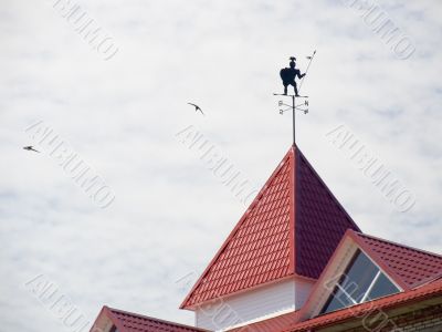 Windvane