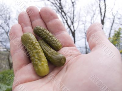 Pickles