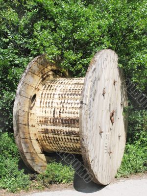 The wooden coil