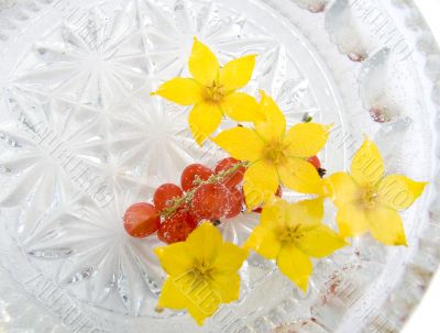 Flowers and berries