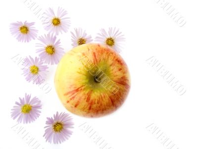 Autumn still-life