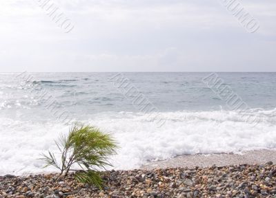 On a sea beach