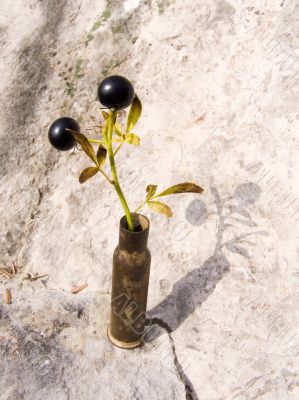 Two black berries