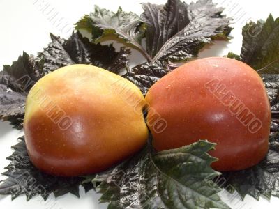 Two half of apple
