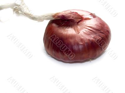 Red onions