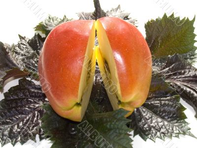 Two half of apple