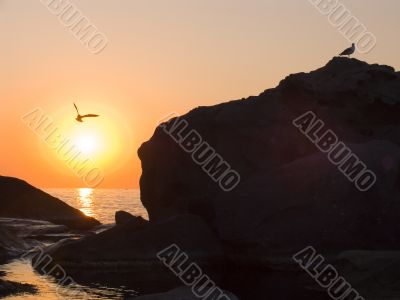 Sunrise