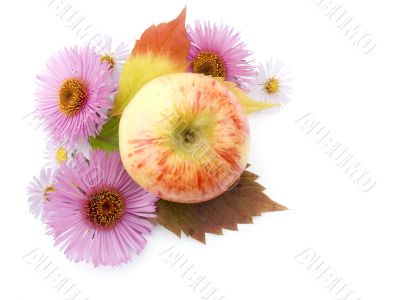 Autumn still-life