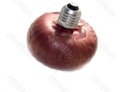 red onions