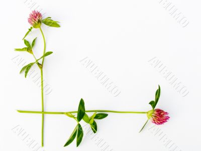 Flower framework