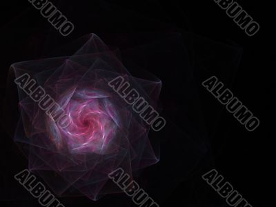 Spiral Petals