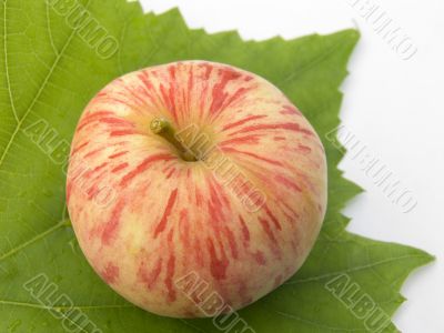 beautiful apple