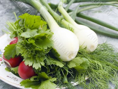 Vegetable still-life