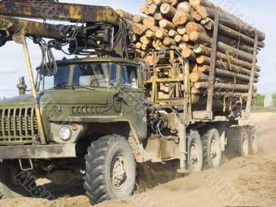 The timber carrying vessel