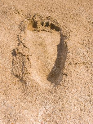 Trace of a leg
