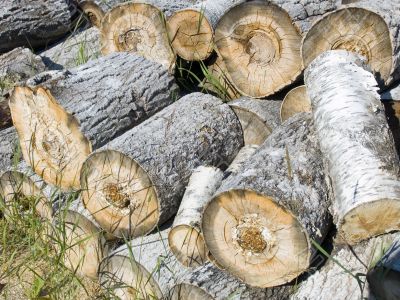 Fire wood