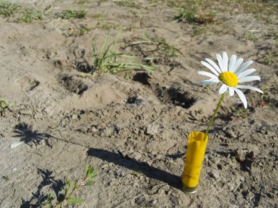 Flower and cartridge