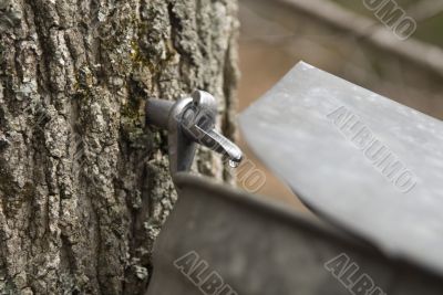 Vermont Maple Sugaring