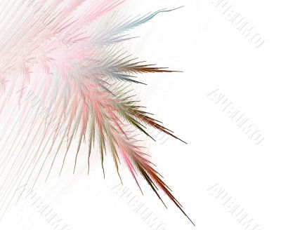 Fringe against White