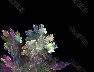 Corner Arrangment