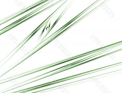 Green Reeds against White