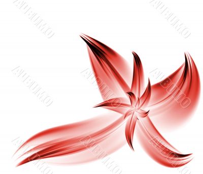 Red Flower