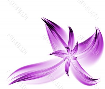 Purple Flower