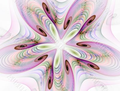 Candy Star Against White