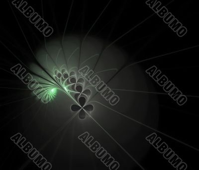 Captured Spiral