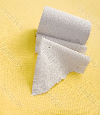 Roll of a paper for a toilet