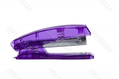 Office stapler close up on a white background