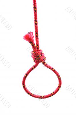 red noose isolated on white