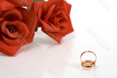 Two wedding rings and red rose at the background